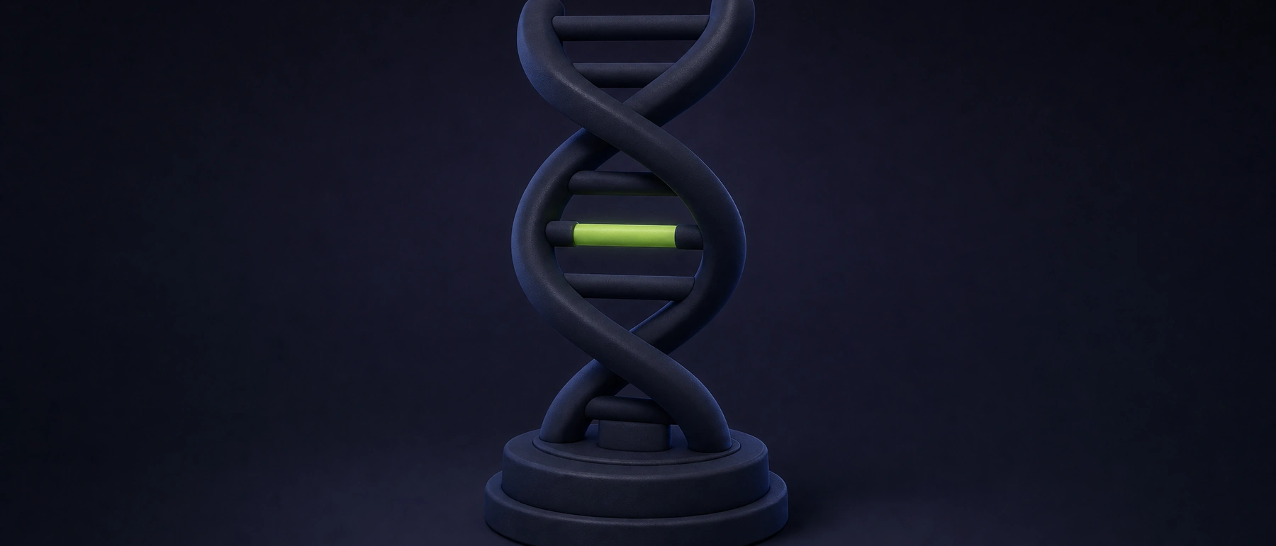Dark navy DNA double helix model on a stand, with one base pair glowing soft lime