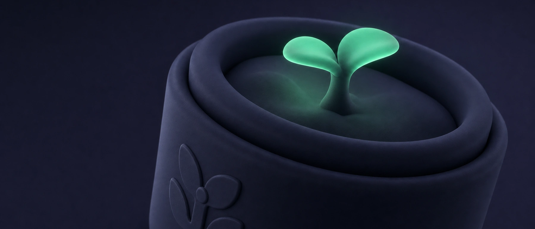 A navy clay pot with a young seedling, its two rounded leaves glowing a soft emerald green